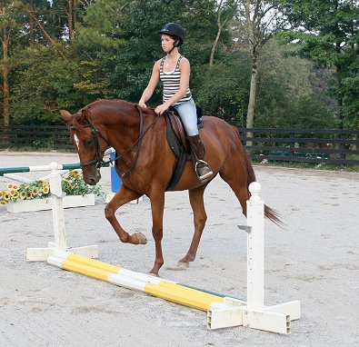 "Brett" is learning to jump. 