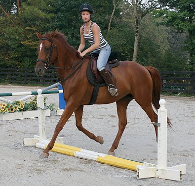 "Brett" is learning to jump. 