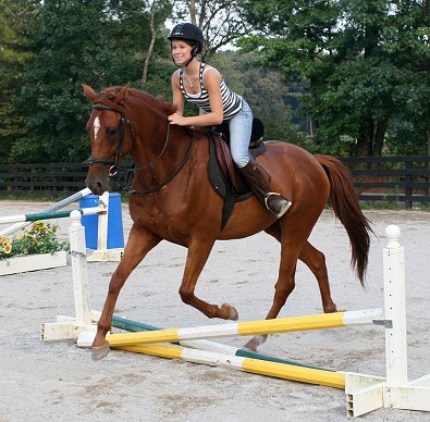 "Brett" is learning to jump. 