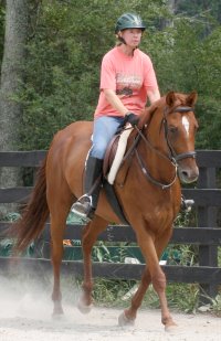 Chestnut Horse for Sale - Finders Reward aka "Brett" and Gay Whitham. August 19, 2006