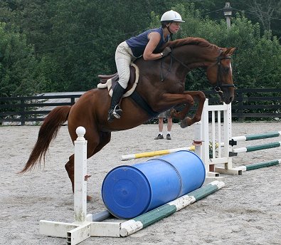 Brett learned to jump in his short time at Bits & Bytes Farm.