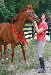 Congratulations to Judi Edwards of Richmond, Virginia on the purchase of Brett!