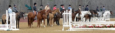 There were 15 horses in Brett's pleasure class.