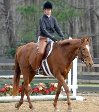 Brett won a ribbon at his first  recognized horse show!