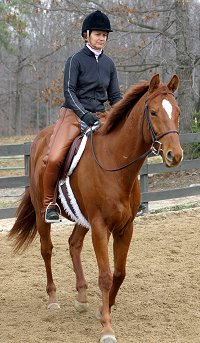 Brett won a ribbon at his first  recognized horse show!