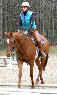 Brett is learning to jump by walking over ground poles. 