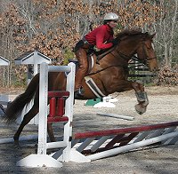 Brett is learning to jump with the help of his mom Judi Edwards. January 6, 2007 