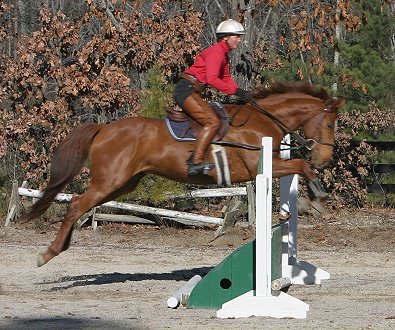 Bret and Judi have a disagreement as to the distance to the rolltop.