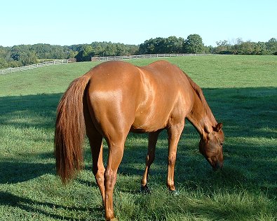 Brett has made it to his new home in Virginia! - September 28, 2006