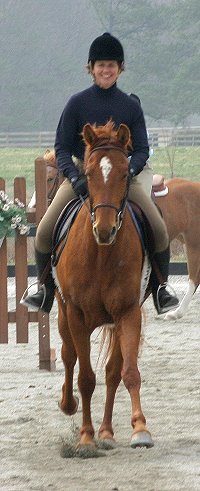 "Brett" at a recent show where he won 3rd place!