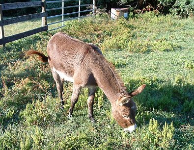 Brett's buddy Chance.