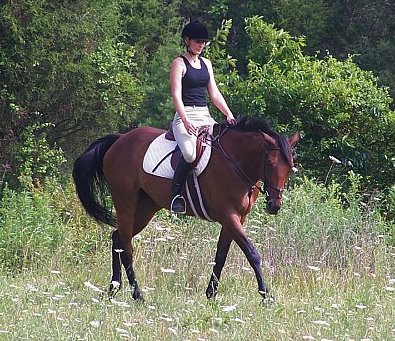 Amy Wylly is retraining Thoroughbreds at her farm in Tennessee.