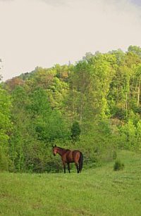 Storytails Farm is gorgeous in every season.