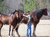Buckeye Buckaroo and 