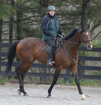 Elizabeth's first ride on Bullet Again - Thoroughbred Horses for Sale at Bits & Bytes Farm