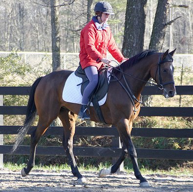 Bullet Again and owner Dr. Rosemarie Spillane.