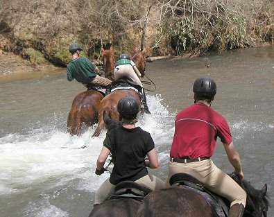River crossing on our horses for sale.