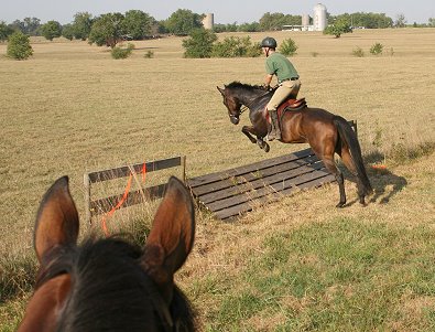 Barry and Era of Chanago take the coop.