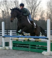 Era of Chanago a Thoroughbred for sale at Bits & Bytes Farm