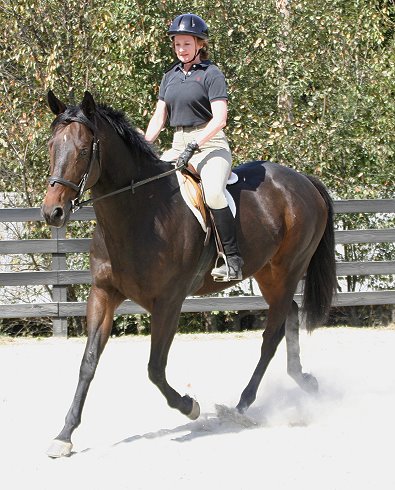 Era of Chanago - Thoroughbreds for sale.