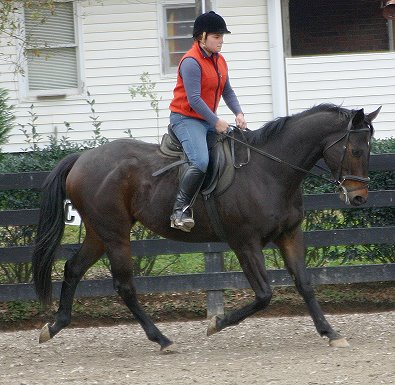 Era of Chanago a Thoroughbred for sale at Bits & Bytes Farm