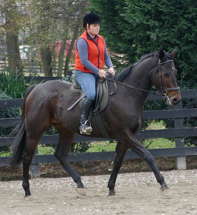 Era of Chanago a Thoroughbred for sale at Bits & Bytes Farm