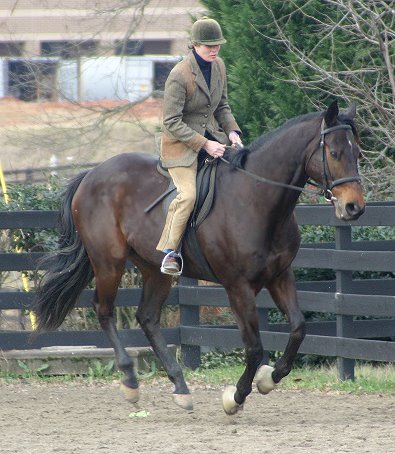 Era of Chanago a Thoroughbred for sale at Bits & Bytes Farm