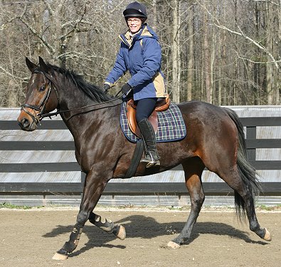 Era of Chanago a Thoroughbred for sale at Bits & Bytes Farm