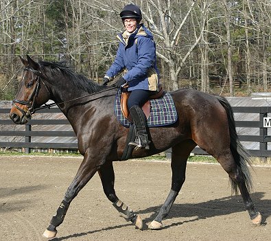 Era of Chanago a Thoroughbred for sale at Bits & Bytes Farm