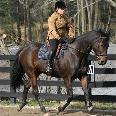 Era of Chanago a Thoroughbred for sale at Bits & Bytes Farm