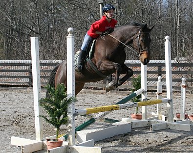 OTTB - Era of Chanago with Friend of Bits & Bytes Farm Heather Mead. February 2, 2008
