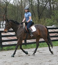 Thoroughbred Horse For Sale - Era of Chanago with visitor Holly Light from Chicago. April 5, 2008