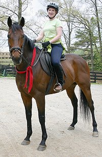 Former Bits & Bytes Farm Thoroughbred Horse for Sale - Chouette Player. - June 2005