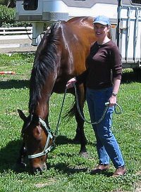 Former Bits & Bytes Farm Thoroughbred horse for sale - Chouette Player arriving in Palos Verdes, California. May 7, 2005