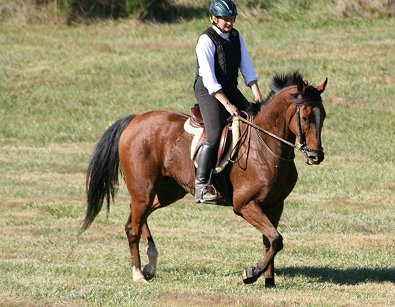 Classic Casey and Elizabeth at Deerhaven Farm. October 14, 2006