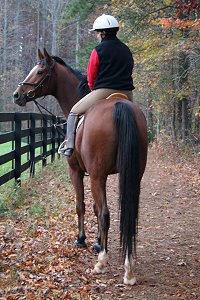 Classic Casey with visitor Kristi Casper from North Carolina. November 18, 2007