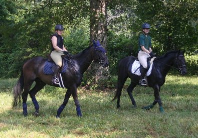 Cloned Colony and mom Sally Thomas x-country schooling - August 2005