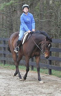 Horse for sale - Dakota and Elizabeth