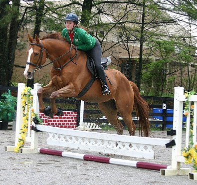 Our Boy Darcy and Jessica - April 7, 2005