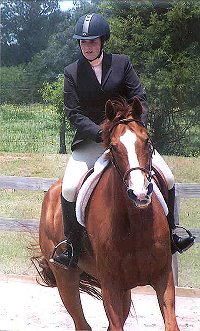 Our Boy Darcy and Jessica at a horse show