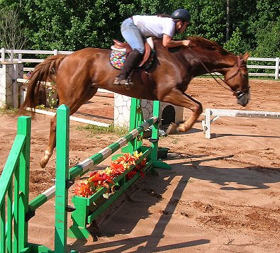 Our Boy Darcy and Jessica 