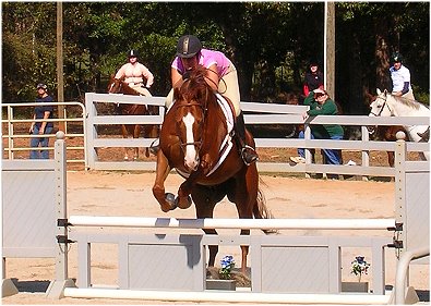 Our Boy Darcy and Jessica. October 2005