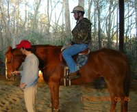 Our Boy Darcy and friends. December 2005