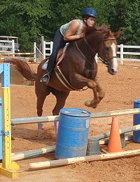 Our Boy Darcy is a former race horse who is now a show jumper. Summer 2007