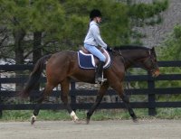 El Armstrong and Jessica Crafton - January 15, 2006