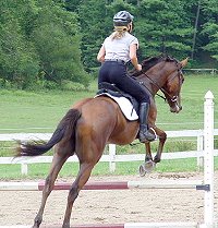 Fame and Gloria learning to jump.