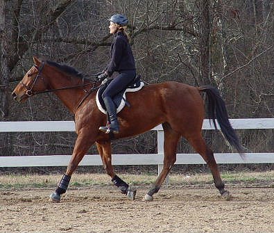 Fame for a Day an Gloria at a clinic at the Biltmore Estates.
