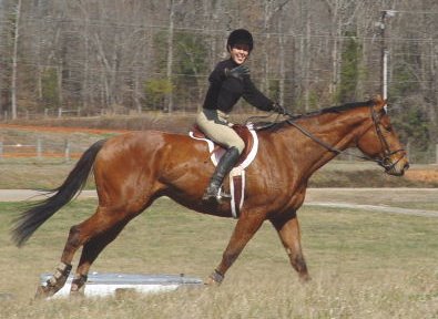 Fame and Gloria at the Hunter Pace.