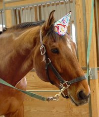 Happy Birthday Fame for a Day! April 7, 2007