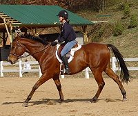 OTTB Fame For a Day with his mom Gloria Coleman.